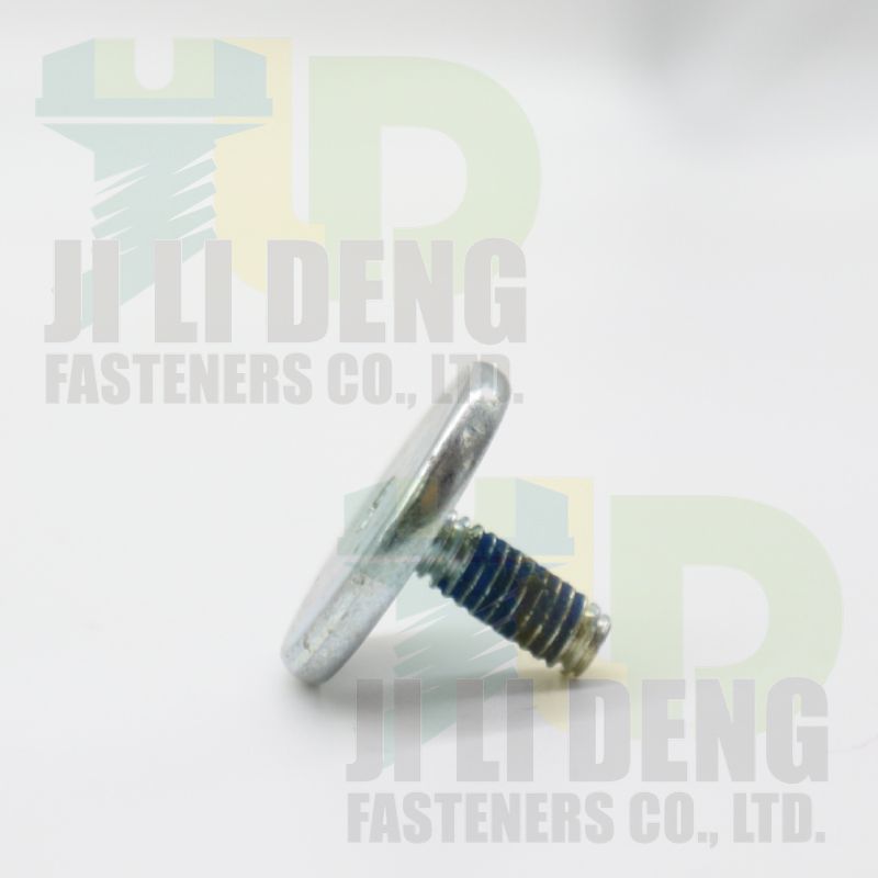 Wafer Head Screw